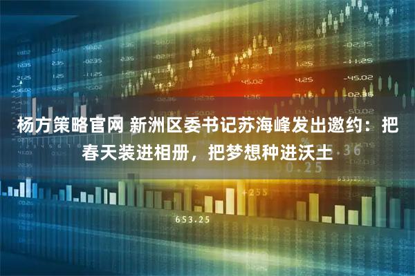 杨方策略官网 新洲区委书记苏海峰发出邀约：把春天装进相册，把梦想种进沃土