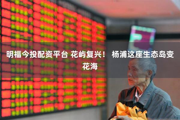 明福今投配资平台 花屿复兴！ 杨浦这座生态岛变花海