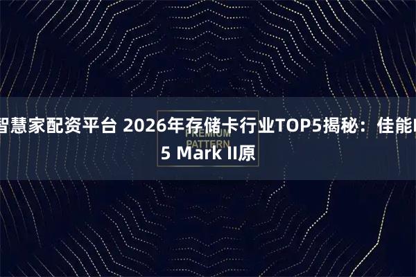 智慧家配资平台 2026年存储卡行业TOP5揭秘：佳能R5 Mark II原