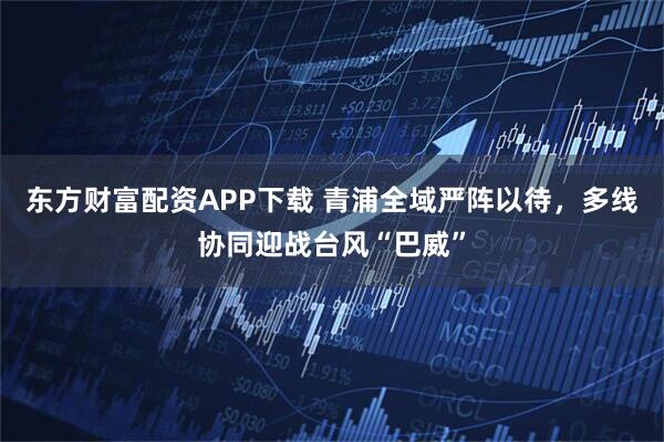 东方财富配资APP下载 青浦全域严阵以待,多线协同迎战台风“巴威”